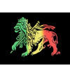 logo T-shirt rasta lion vert jaune rouge
