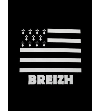 logo T-shirt drapeau breton homme '' BzH ''