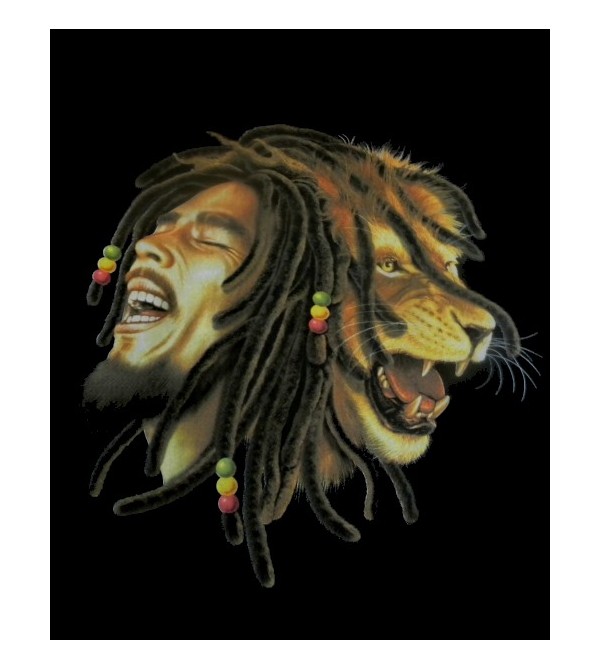 Sweat Bob Marley lion, vetement homme pas cher... Découvrez notre collection de sweat à capuche bob marley homme